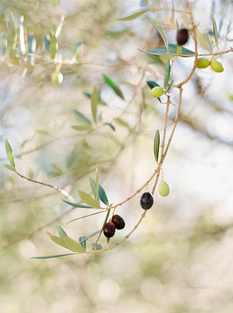 haute-stock-photography-subscription-getaway-collection-final-20