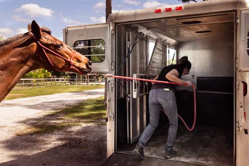 woman pulling her horse