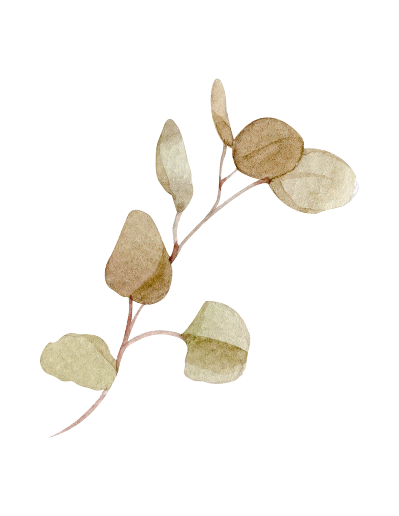 dried eucalyptus