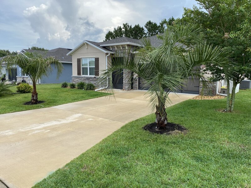 Healthy Lawn Full Website (Copy, 234 selected)