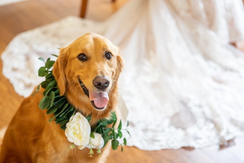 Notting-Hill-Farm-Wedding-Wales-NY-Buffalo-Event-Planner-Event-Designer-6