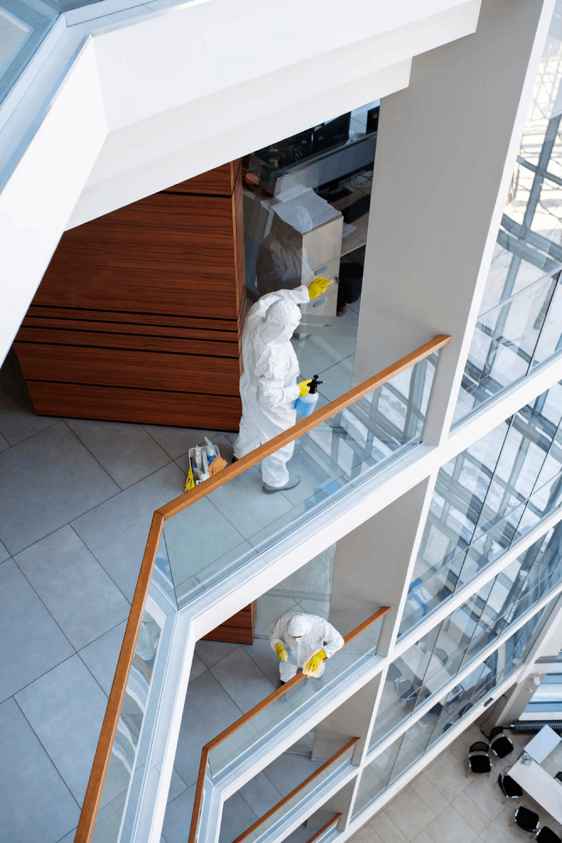 MOLD PREVENTION & REMEDIATION