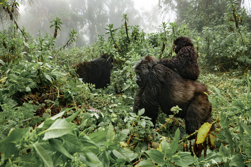 Rwanda (3)