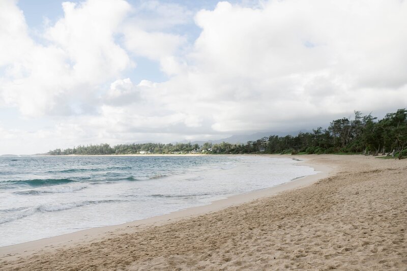 Frances Sagun, Hawaii Realtor & Property Manager_0024