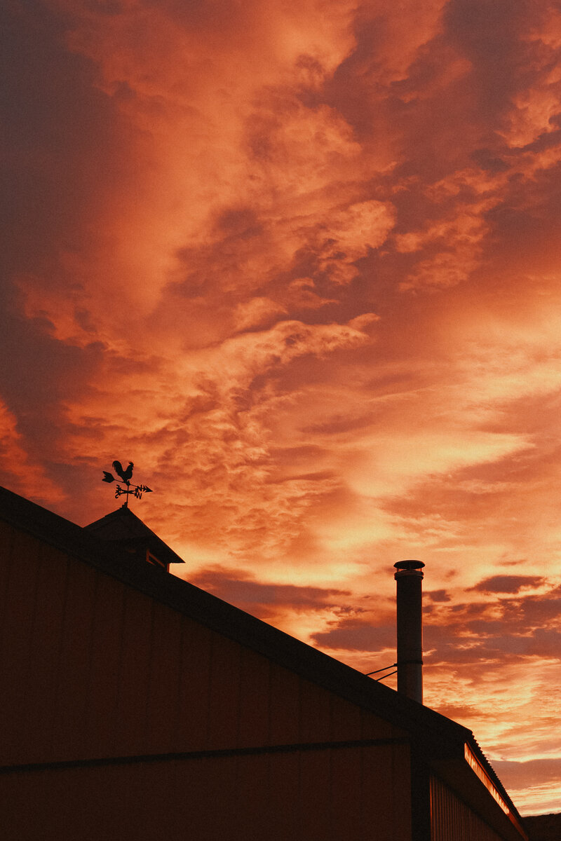 Outdoor-35