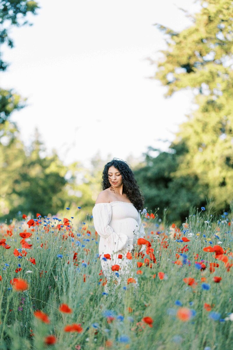 Pregnant woman stands in golden grass field wearing long sleeved lace dress with golden sun shining through her hair and outlining her pregnant belly by Portland Newborn Photographer Emilie Phillipson Photography