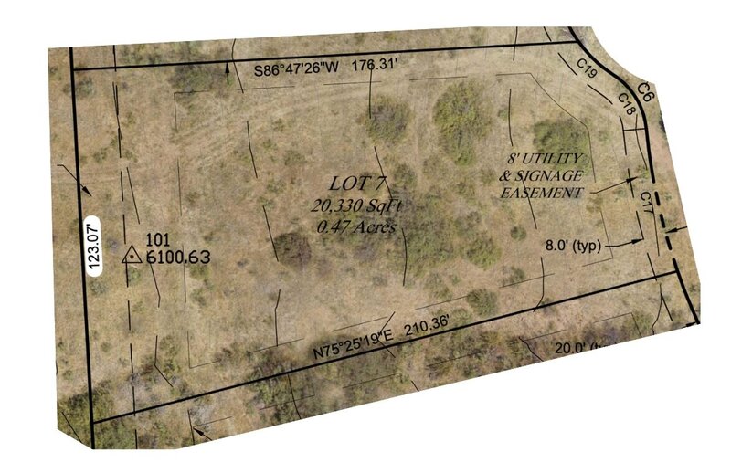 Lot 7