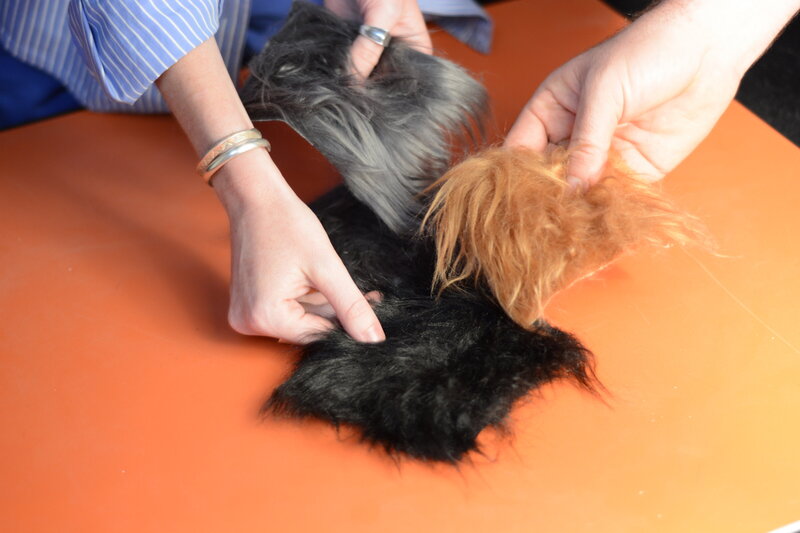 Fur touch puzzle with two hands