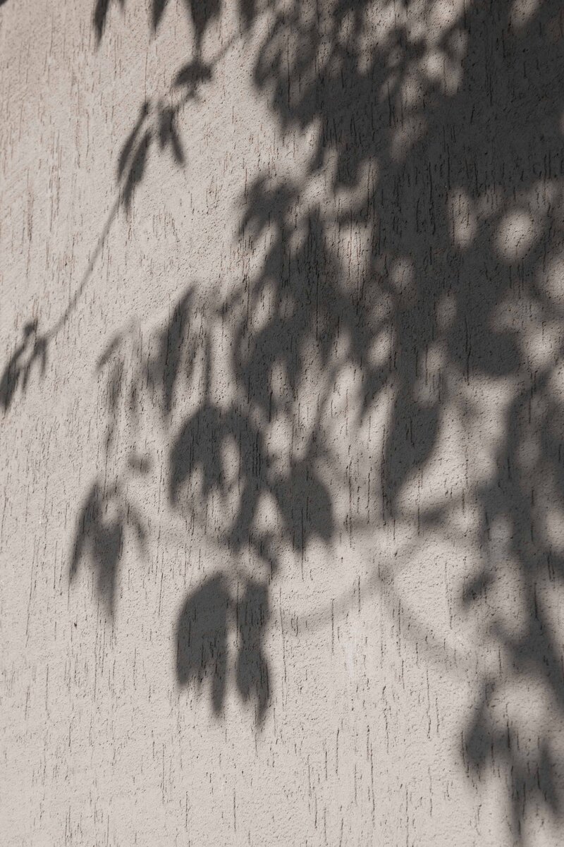 Leaf shadows
