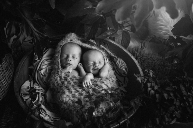 twin newborn boys in knit cocoon