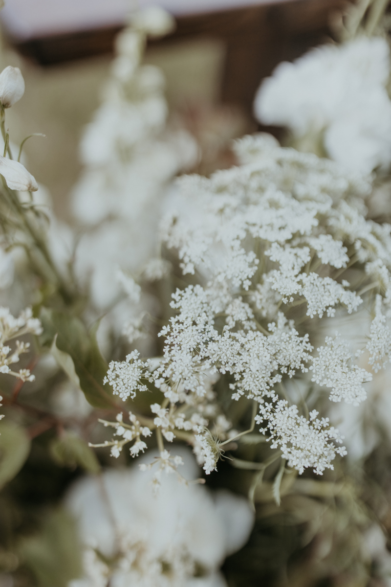 Montana wedding photographer