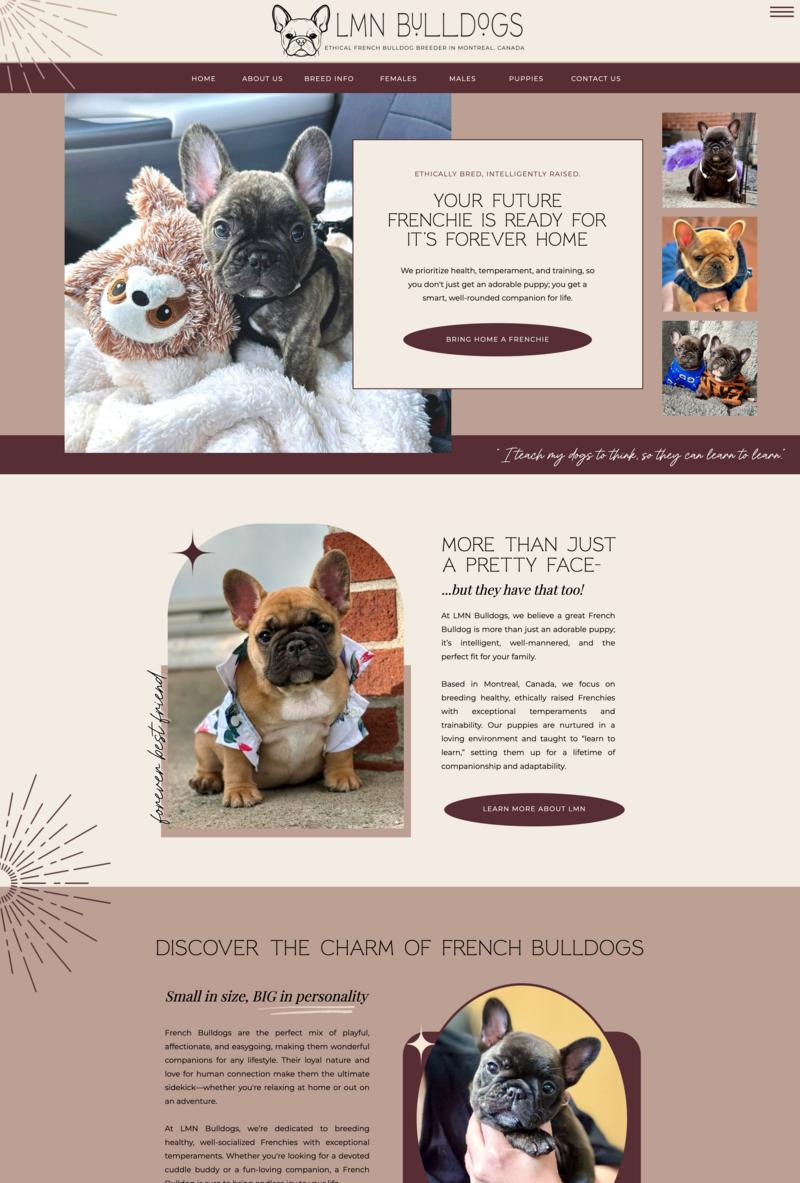 Featured website design project for Mushees Minerals in Gig Harbor, Washington created by AQ Design Studio