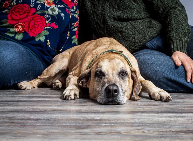 Karra Kostya Photo - Hounds Hashtag Headshots_0198