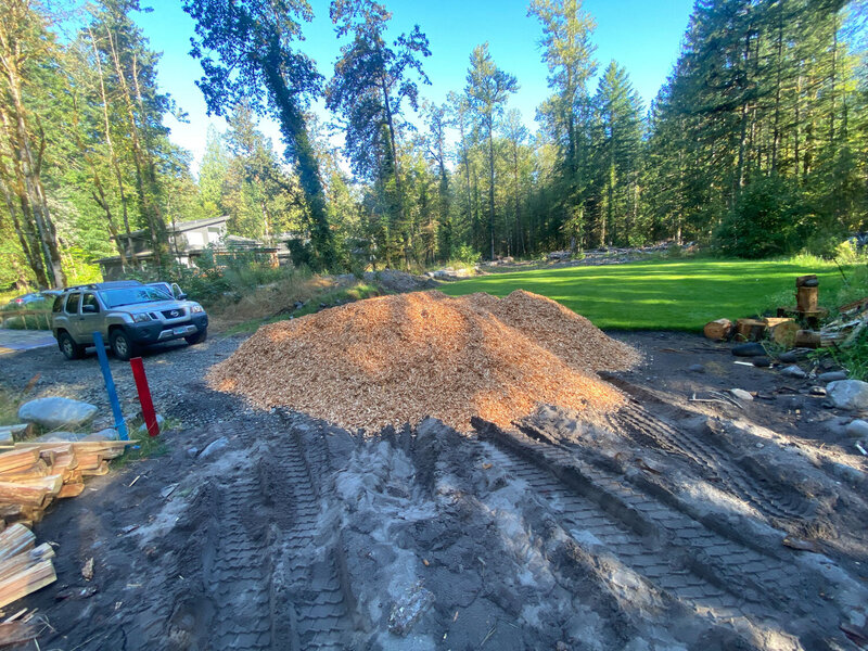 Large pile of wood chips surrounded by forest and cleared ground