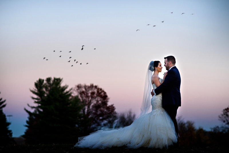 Birds fly over a newly married couple at their northampton valley country club wedding.