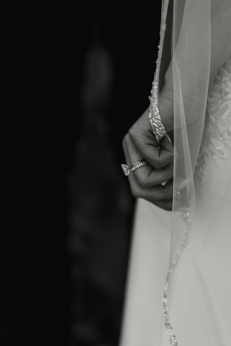 Aspen Wedding Venue Detail