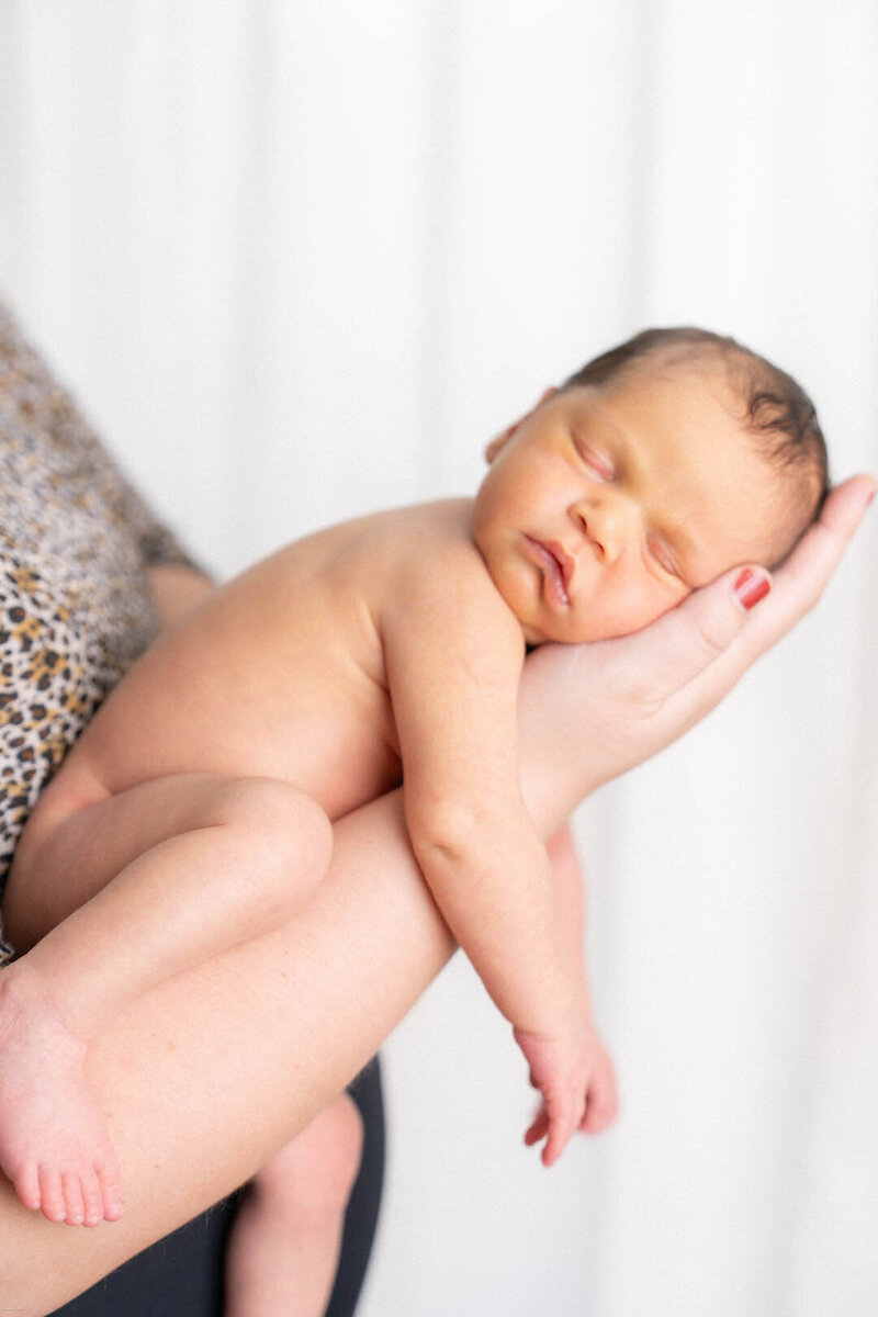 newborn baby in mothers arms portrait