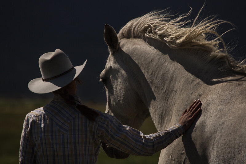 A Light Hand