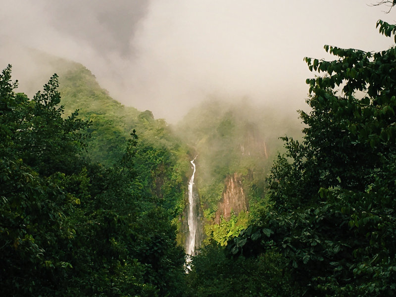 TianaSimpsonPhotography-Guadeloupe-002