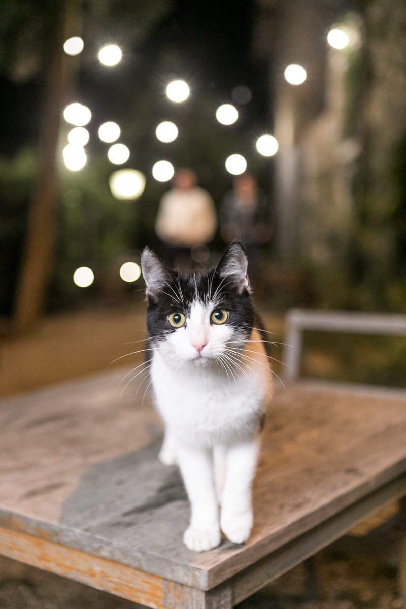 0016-2019-ItalyWedding-JanaMarie