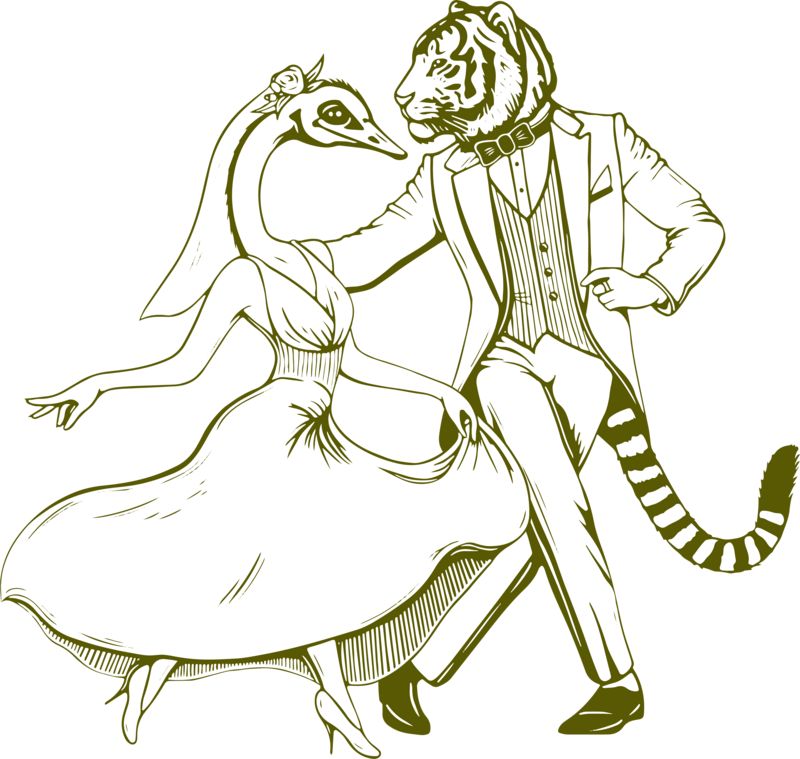 Illustration of Emu Bride and Tiger Groom dancing