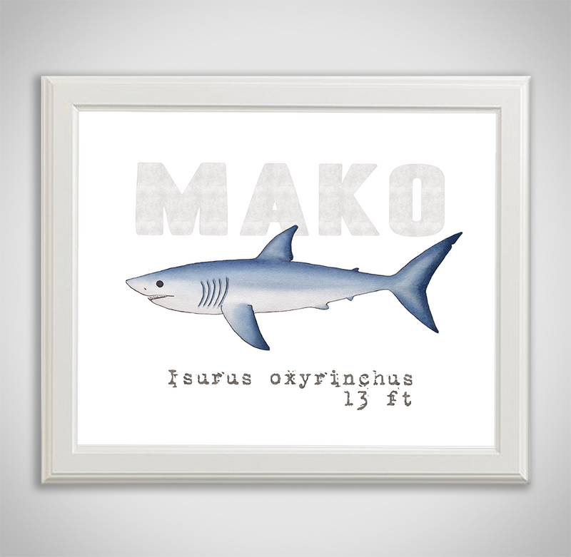 mako-framed