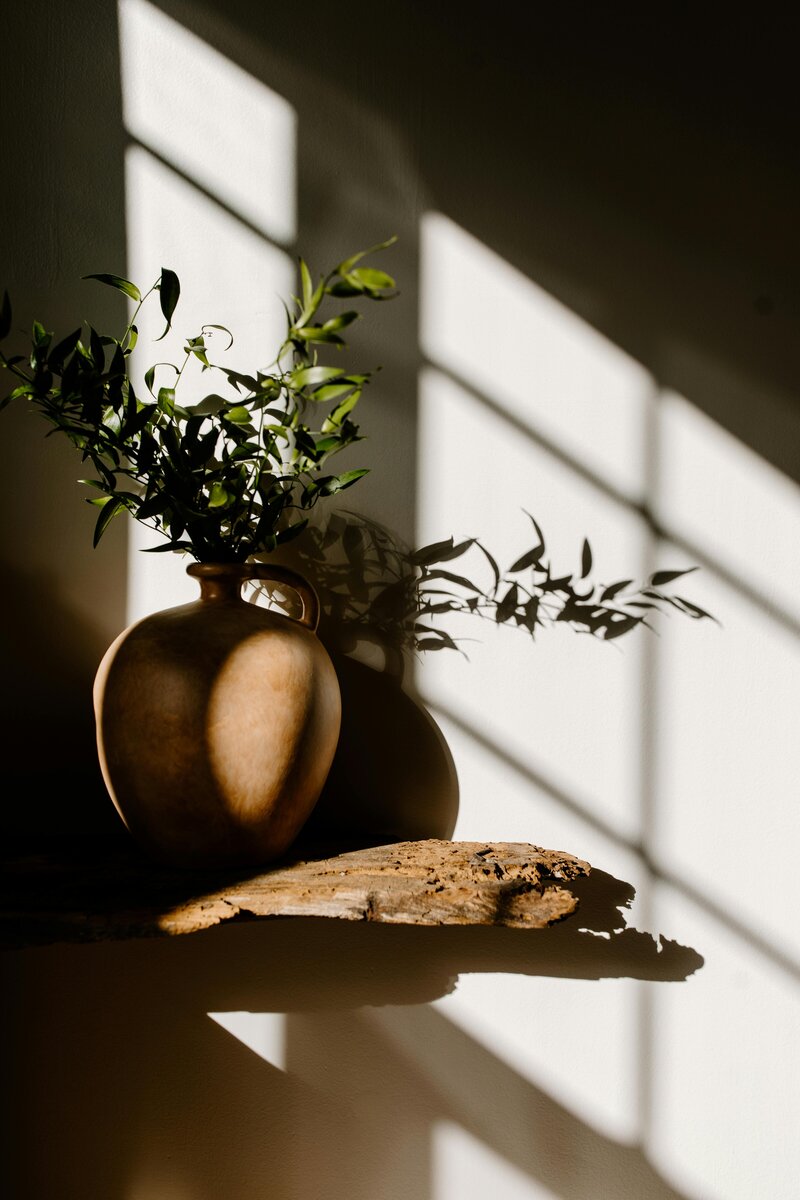 A simple vase containing a lush green plant, adding a touch of nature to the setting.