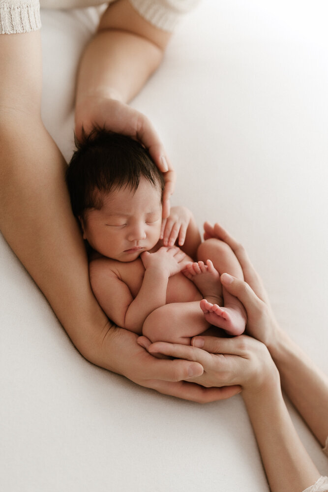 Sydney Sutherland Shire Family Newborn Photographer shoot photo-71