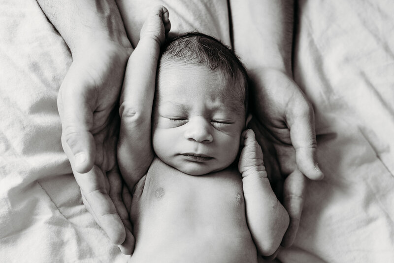 Newborn Fresh 48 Session Don't Blink Photography Michigan