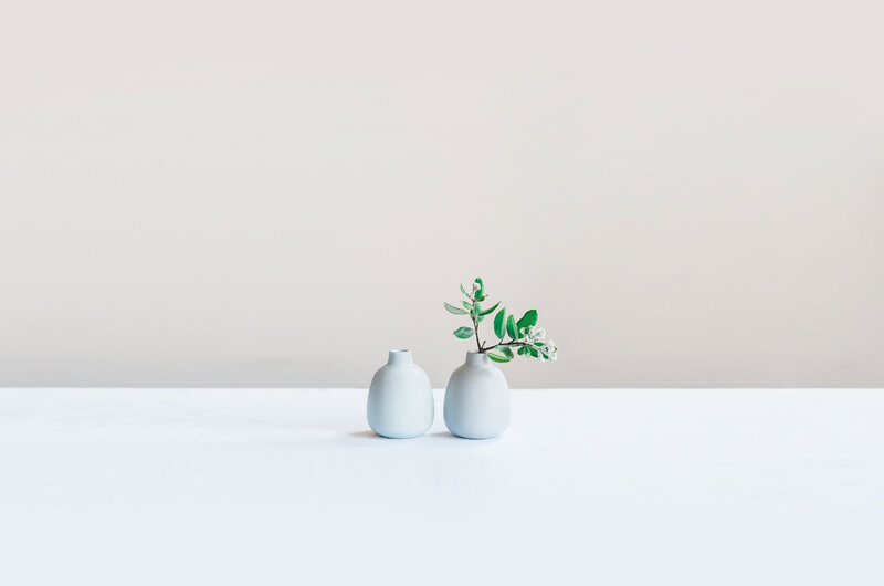 white background with plants in white vases