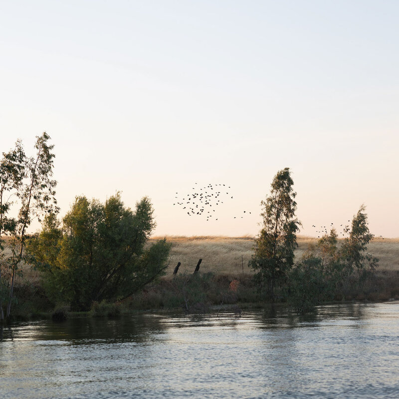A flock of birds flies over a serene river at sunset.