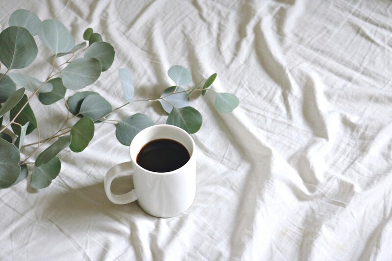 A cup of coffee to show warmth and green leaves to show growth