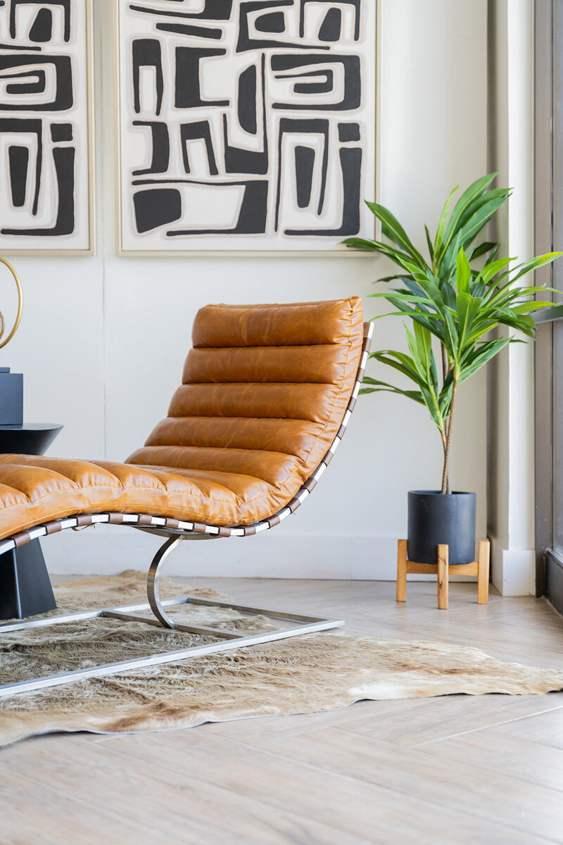 Leather Chair with Plant