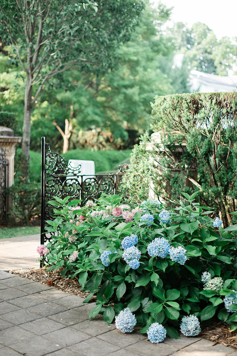 Ellen&Eric_Wedding-385