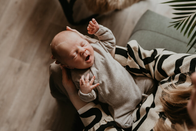 Harris newborn25
