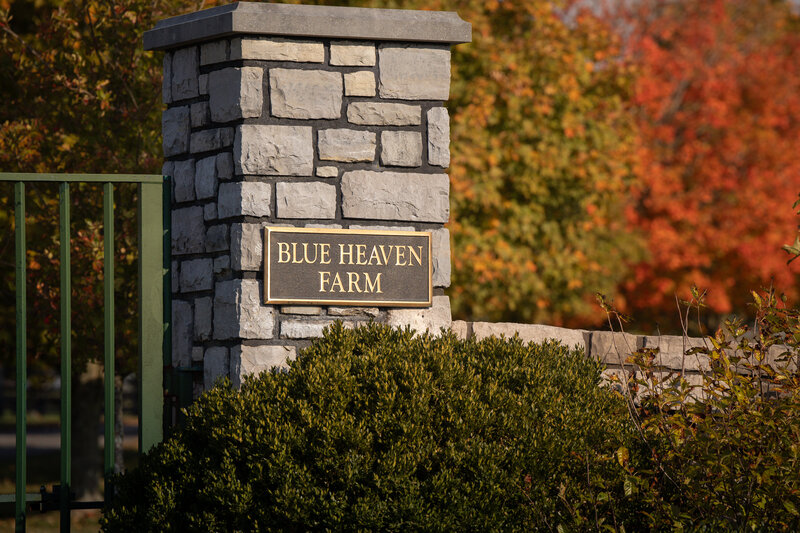 Blue Heaven Farm's entryway gate with autumn colors.