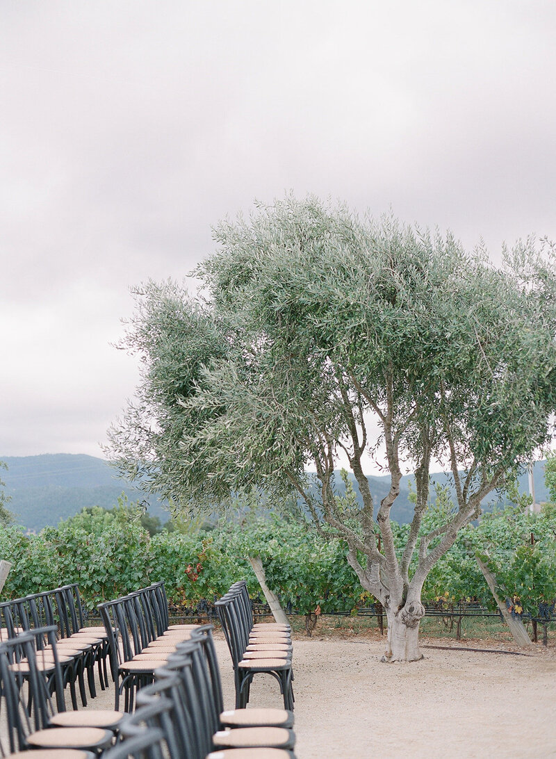 409-HC-Ceremony-Hannah Quintana-Photography