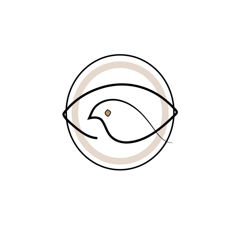 bird's eye icon within circles