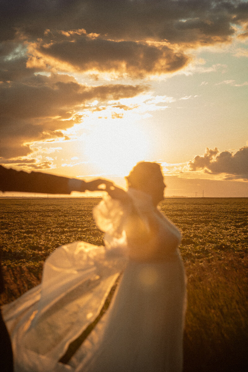Bride in the sunset