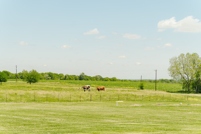 Dallas Wedding Photographer 3