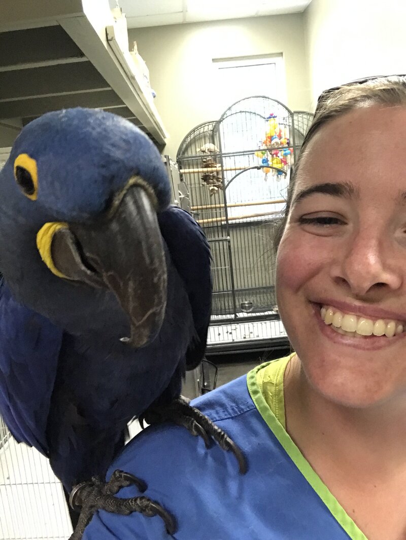 58749701867__BC2B906F-C2B4-4F6F-8F11-25D94ADAC1B1