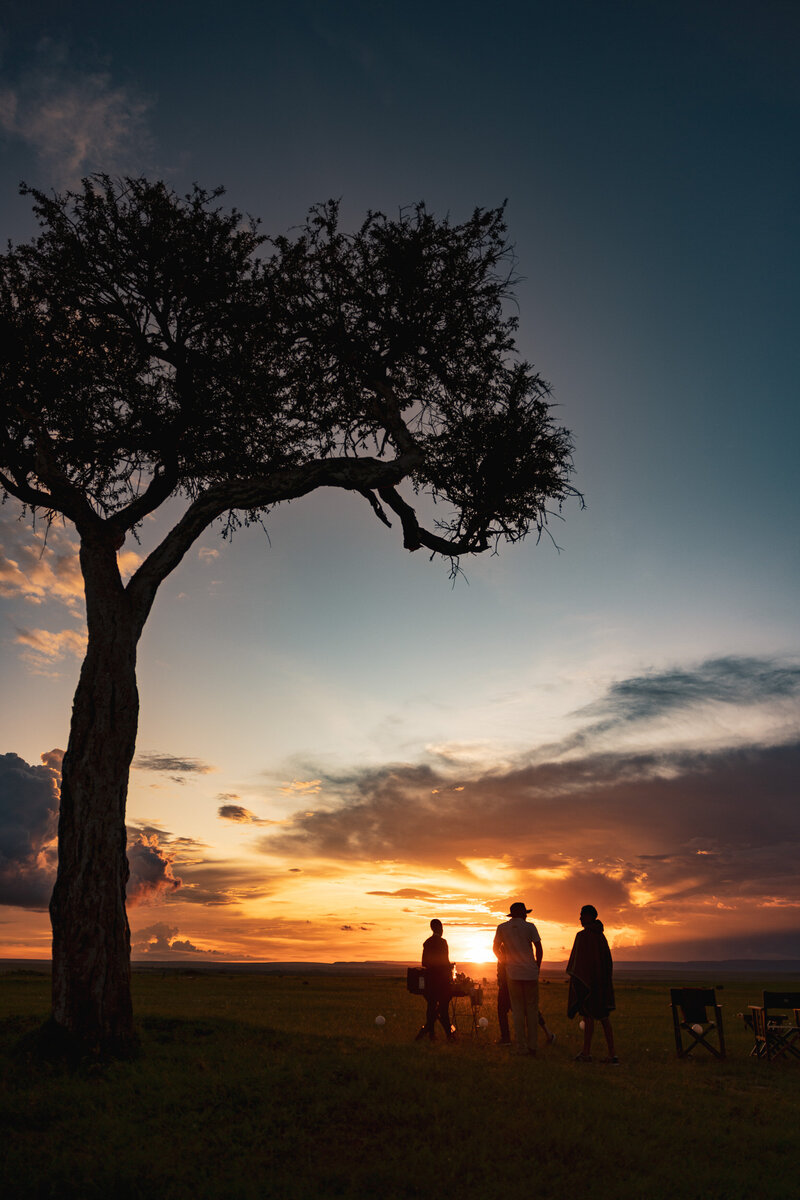Luxury African safaris