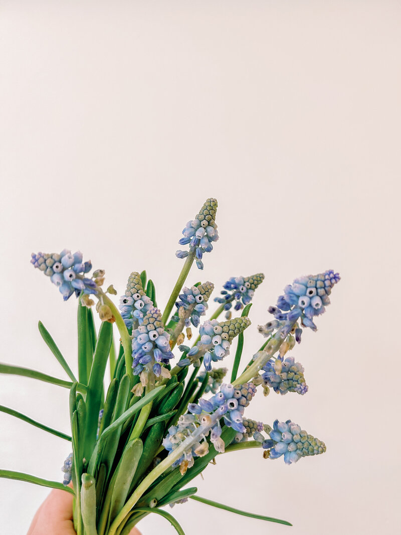 Photo Mar 30 2023, 3 53 22 PM