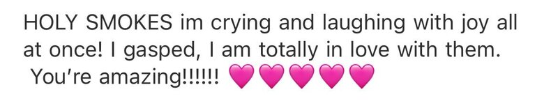 email screenshot from client to photographer saying she is amazing and loves her photos