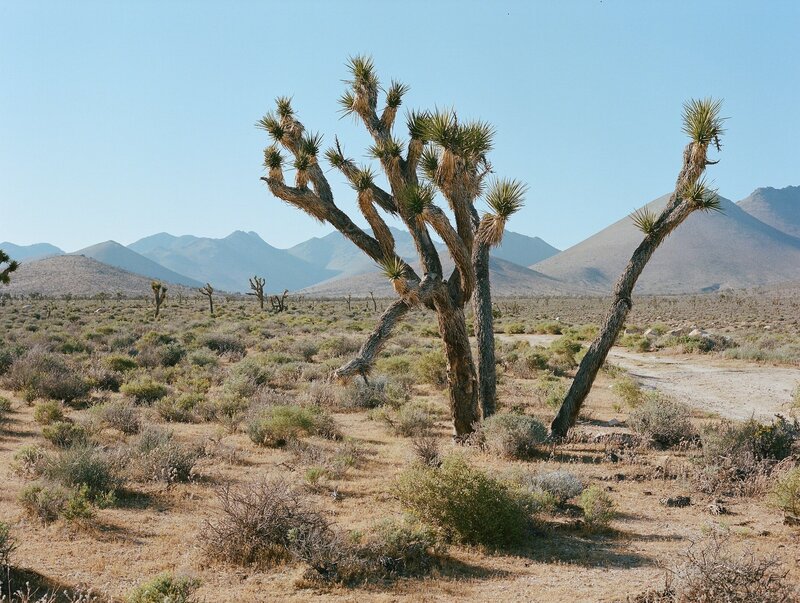 Death Valley