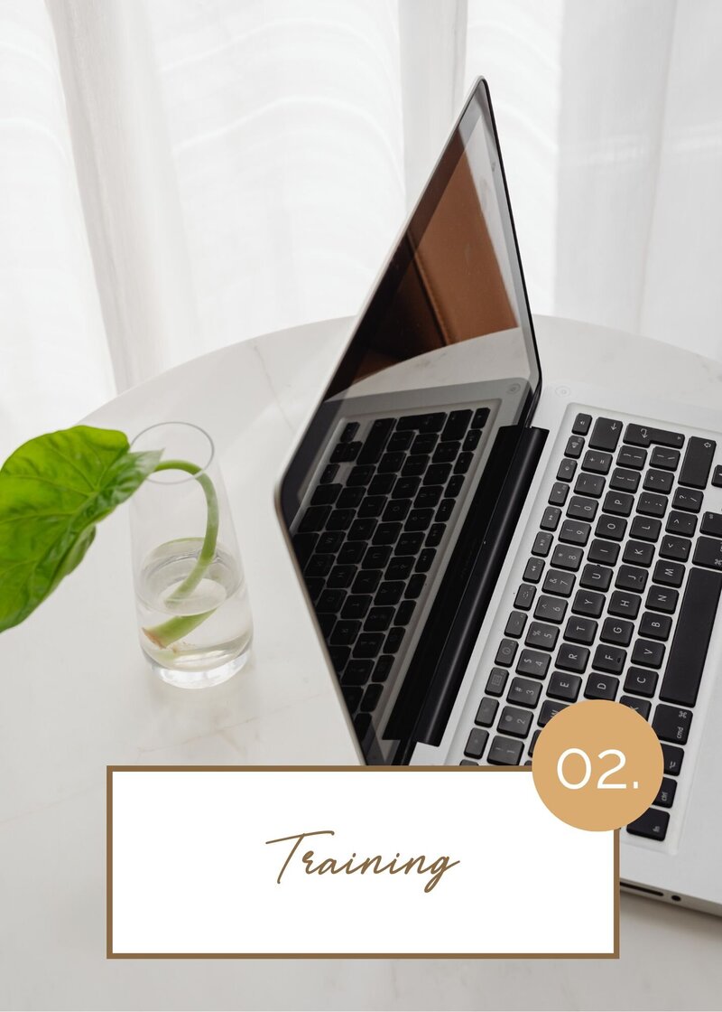 Laptop on table with plant