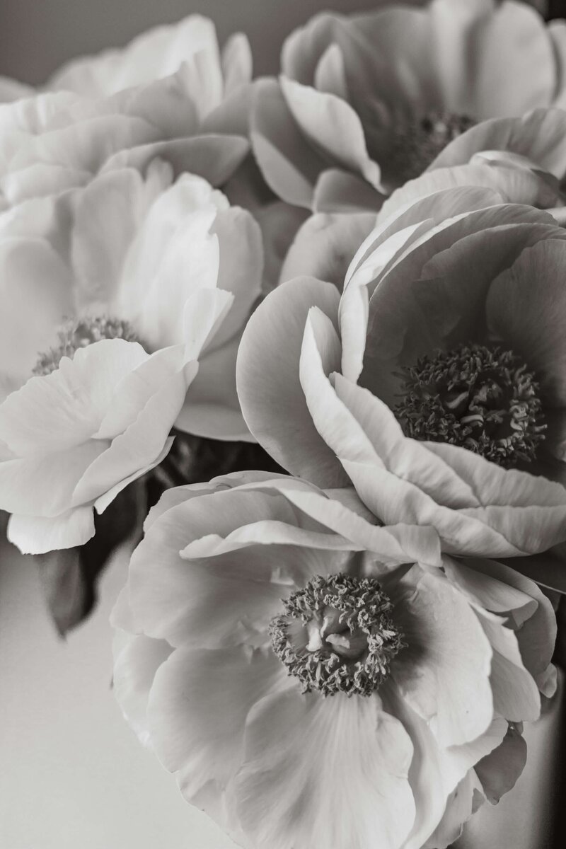 Black and white close-up photo of flowers