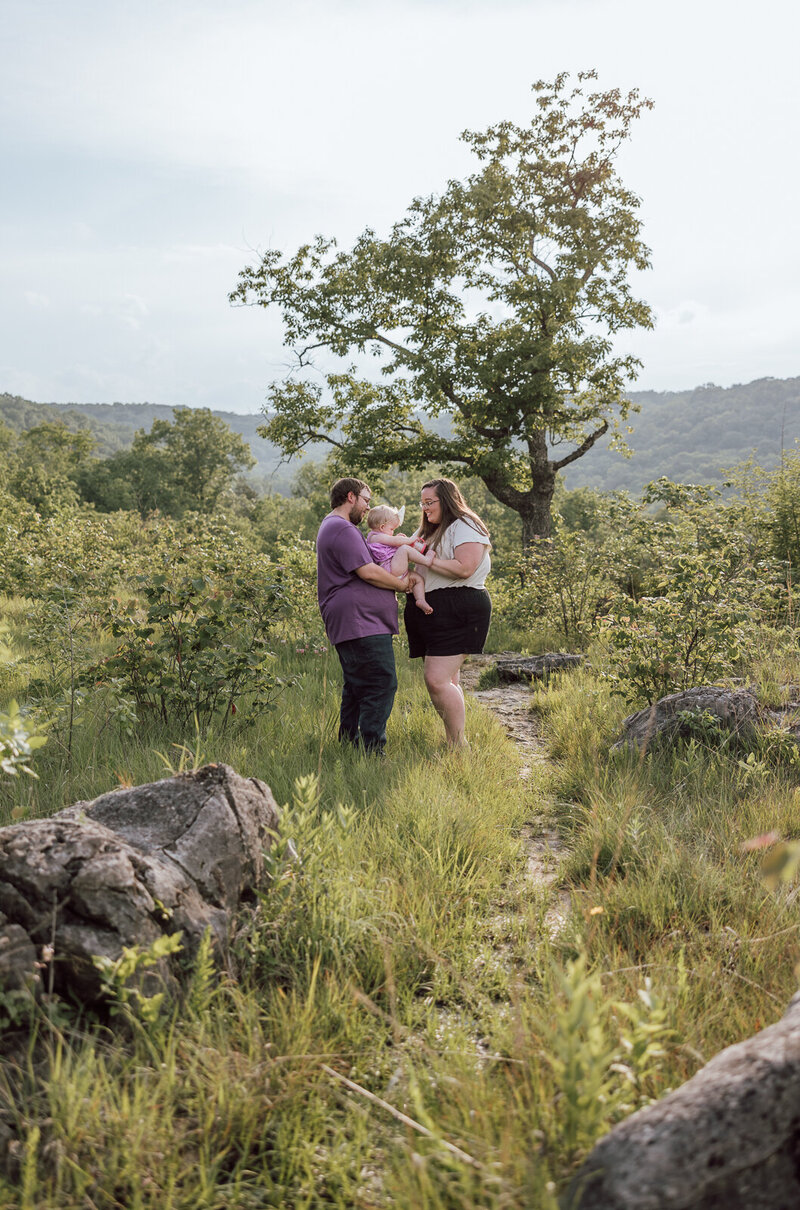 Family of three standing in tall grass with hills and a beautiful tree in the background during a family portrait session in De Soto, Missouri. 