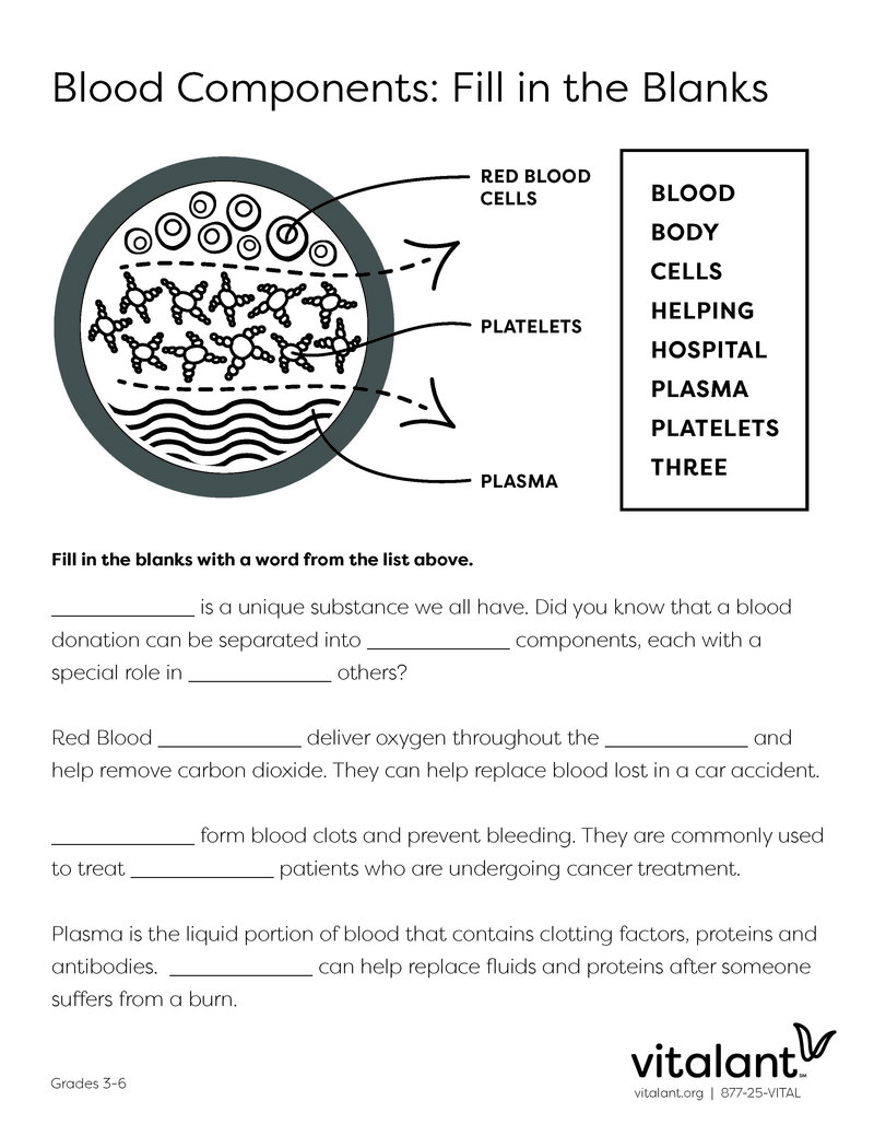 K-8 School Program Activity Book_Page_6