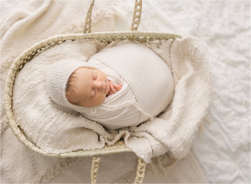 Newborn baby boy in moses basket at Indianapolis newborn photography session